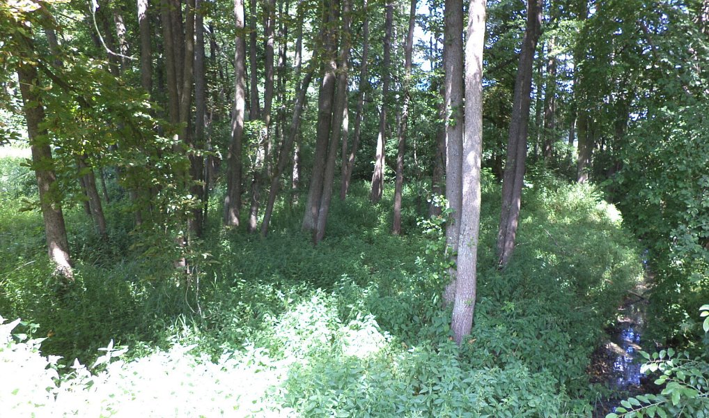 Prodej pozemku 1 046 m², Chodský Újezd – náhled fotky 4