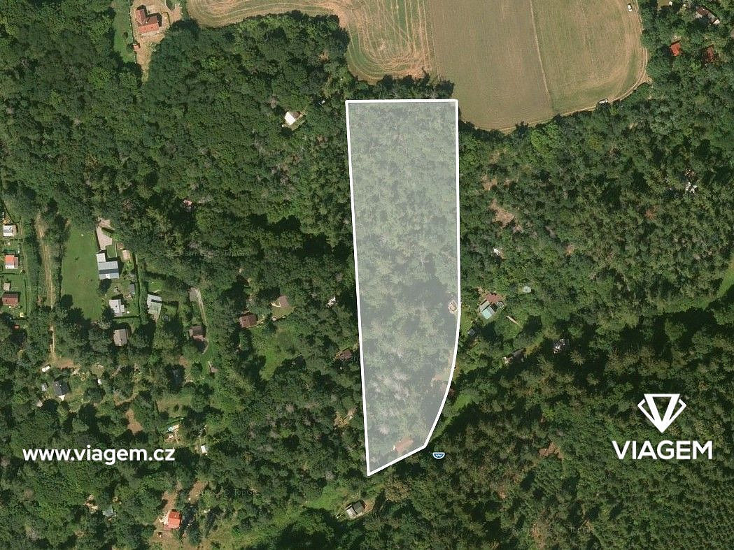 Prodej lesa 9 308 m² – fotografie 2