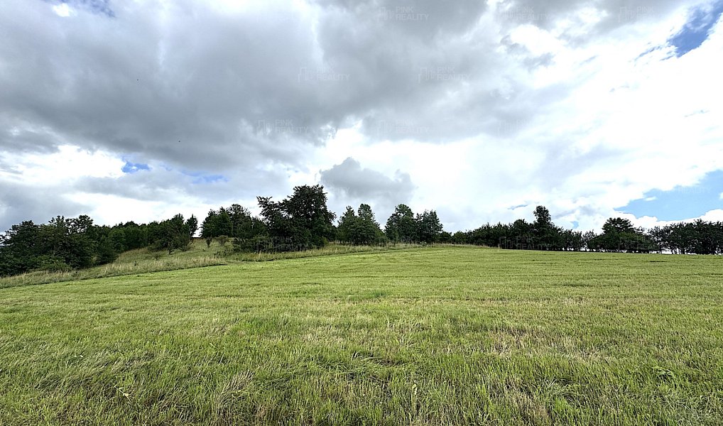 Prodej louky 16 663 m², Rychnov nad Kněžnou – náhled fotky 2