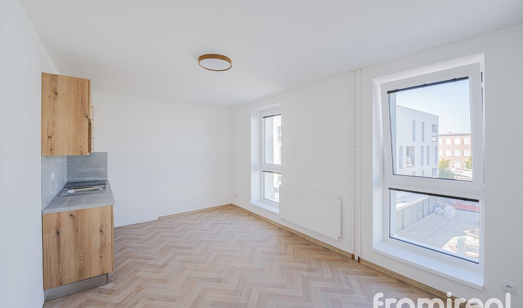 Pronájem bytu 1+kk 30 m², Veselí nad Moravou – náhled fotky 3