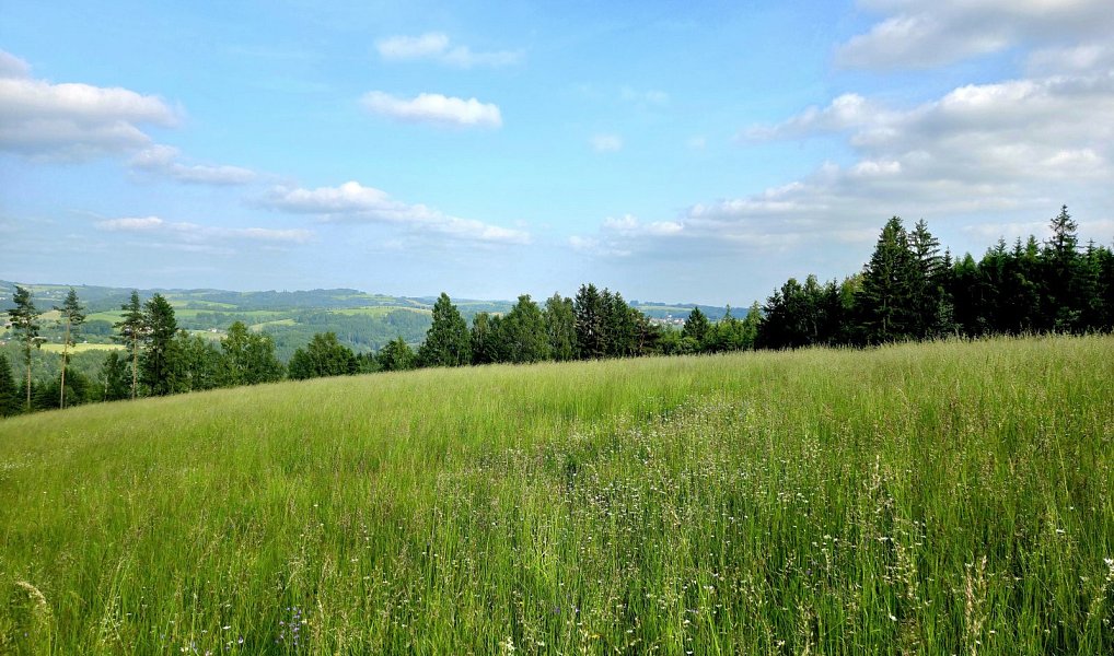 Prodej louky 10 451 m², Vlastiboř – náhled fotky 10