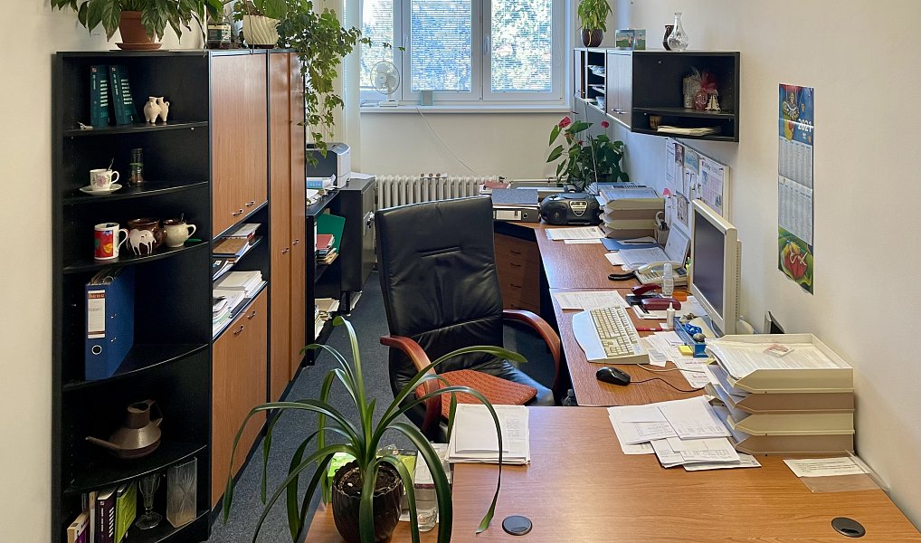 Pronájem kanceláře 61 m², Chotěboř – náhled fotky 4
