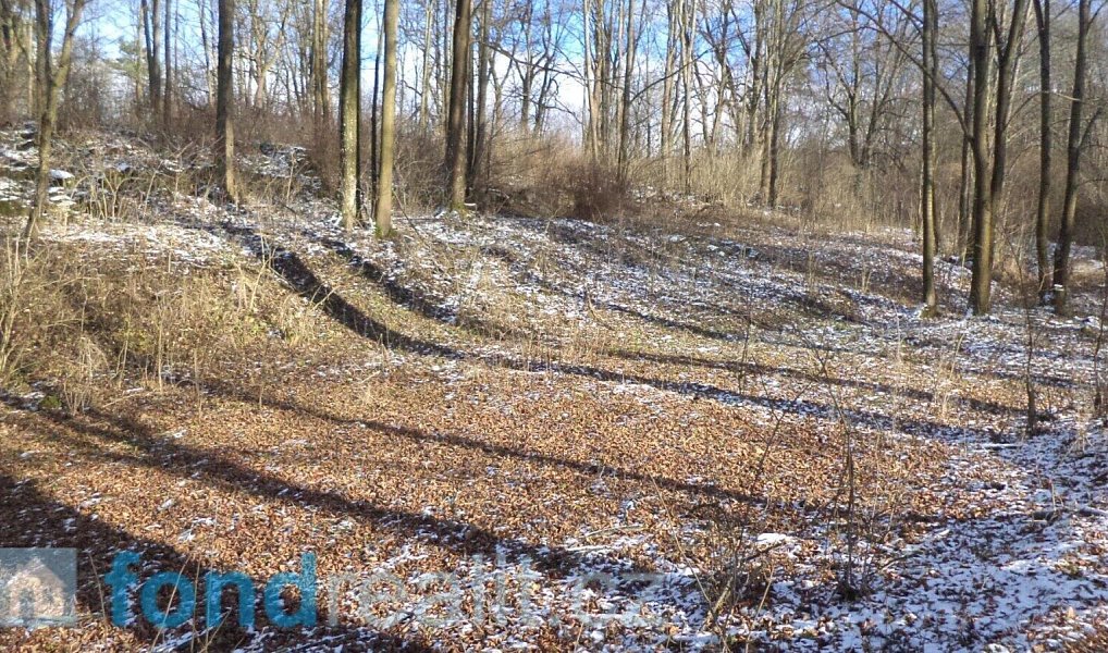 Prodej pozemku 3 575 m², Staré Město pod Landštejnem – náhled fotky 7