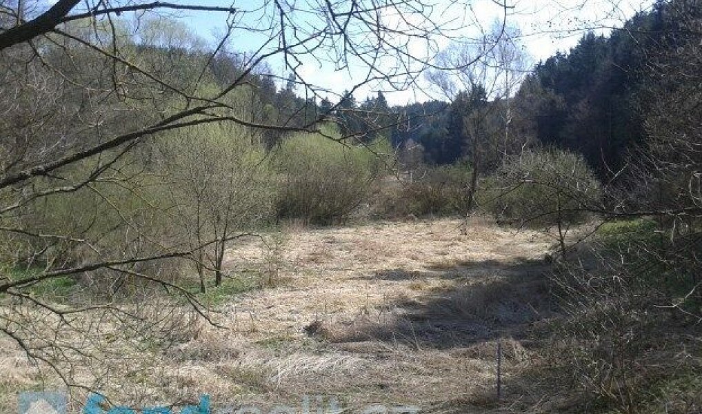 Prodej pozemku 4 724 m², Hříšice – náhled fotky 2