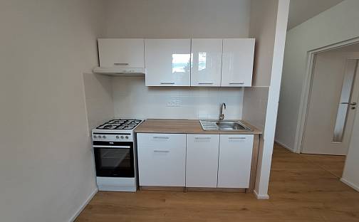 Pronájem bytu 1+1 36 m², Žižkova, Jihlava