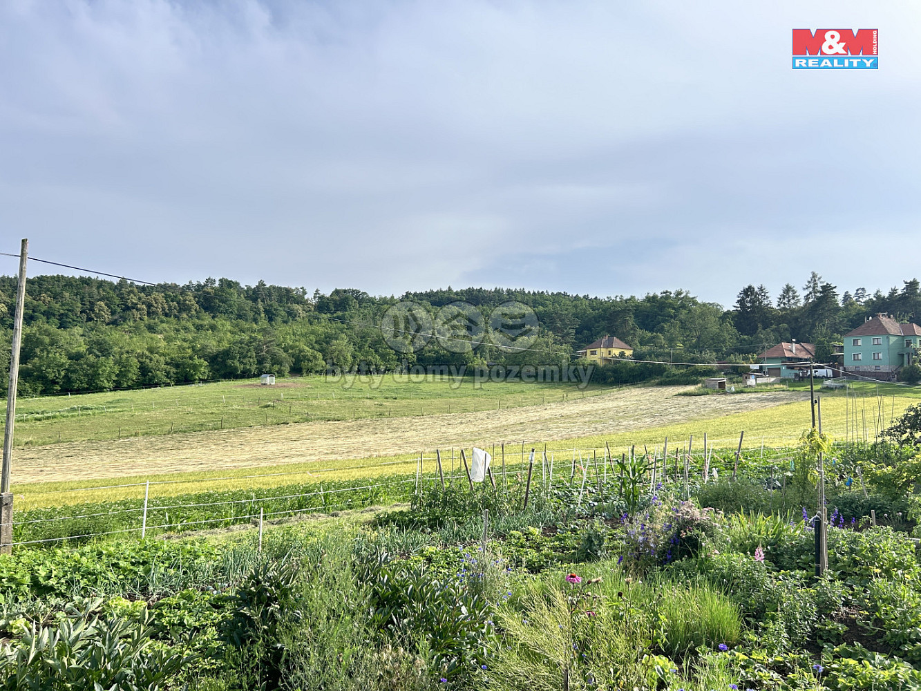 Prodej stavebního pozemku 3 897 m² – fotografie 4