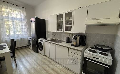 Pronájem bytu 1+1 44 m², Mánesova, České Budějovice - České Budějovice 6