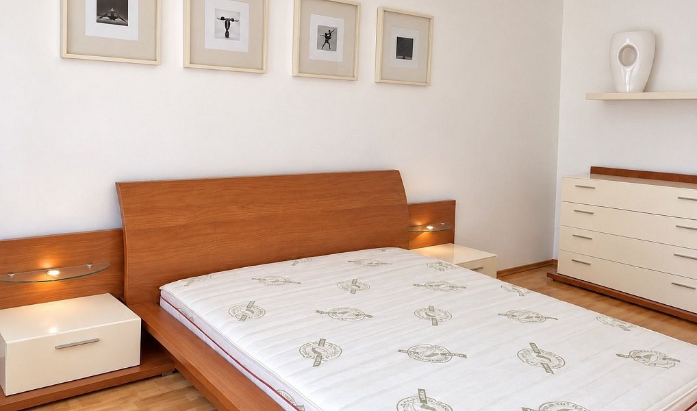 Pronájem bytu 2+1 75 m², Praha – náhled fotky 16
