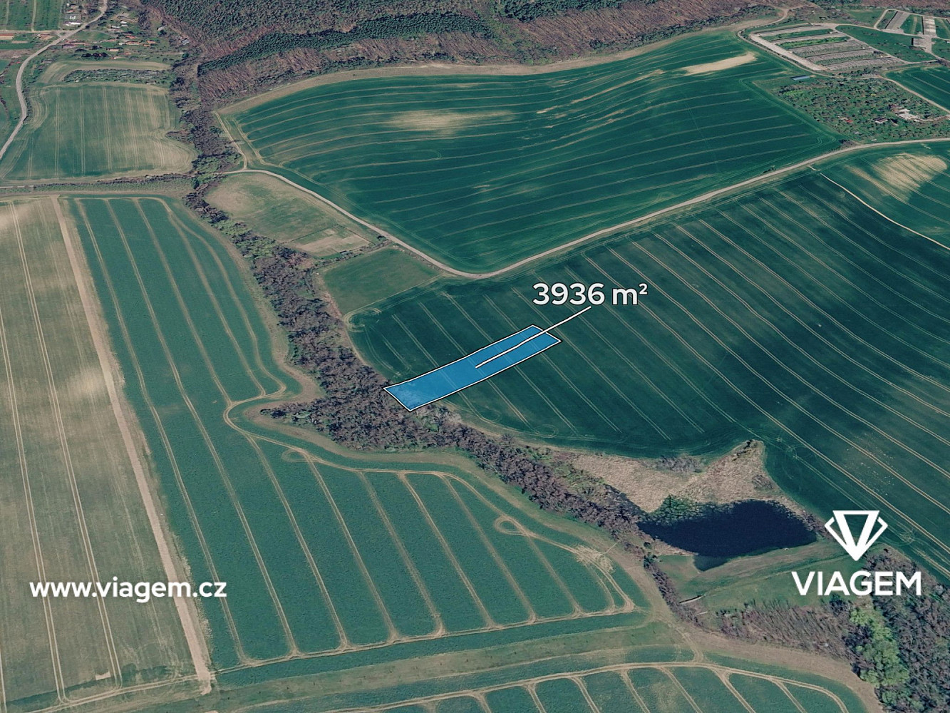 Prodej pole 1 312 m²