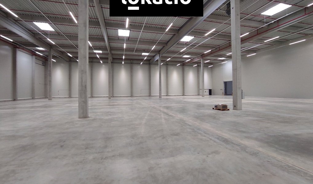 Pronájem skladovacích prostor 7 420 m², Kozomín – náhled fotky 2