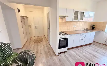 Pronájem bytu 2+1 55 m²