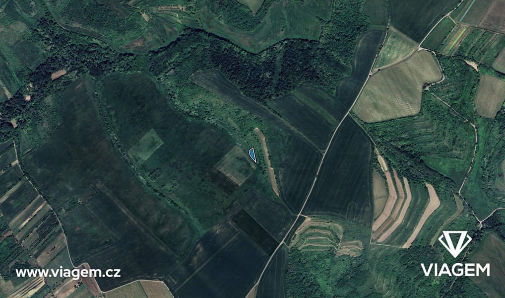 Prodej pole 1 162 m², Velké Němčice – náhled fotky 3