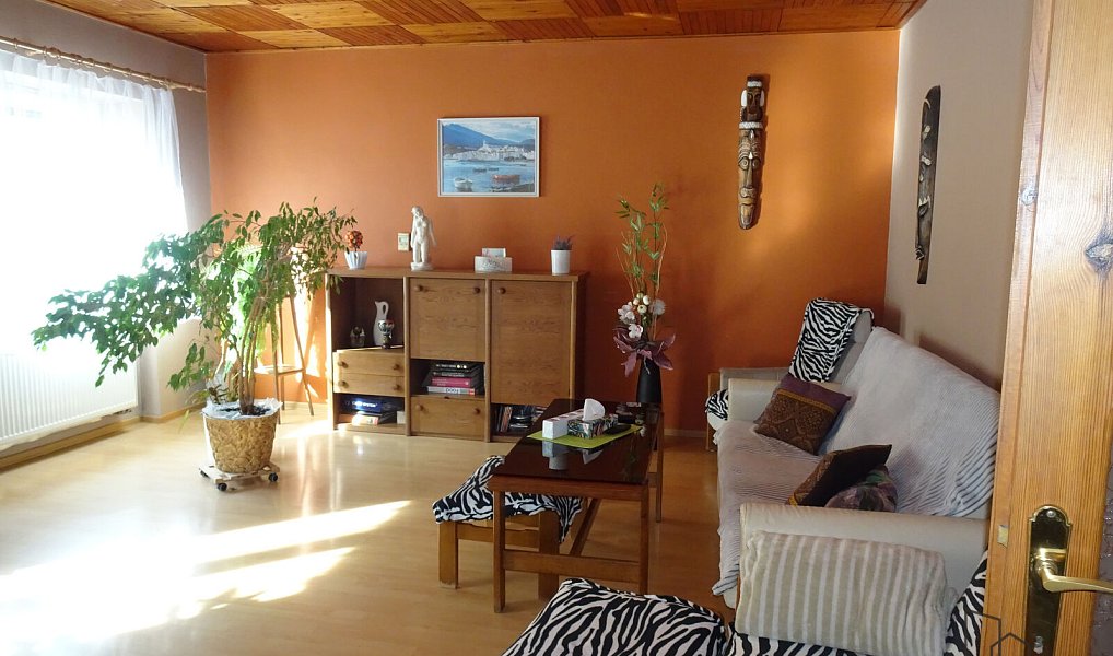 Prodej domu 250 m² s pozemkem 320 m², Pardubice – náhled fotky 19