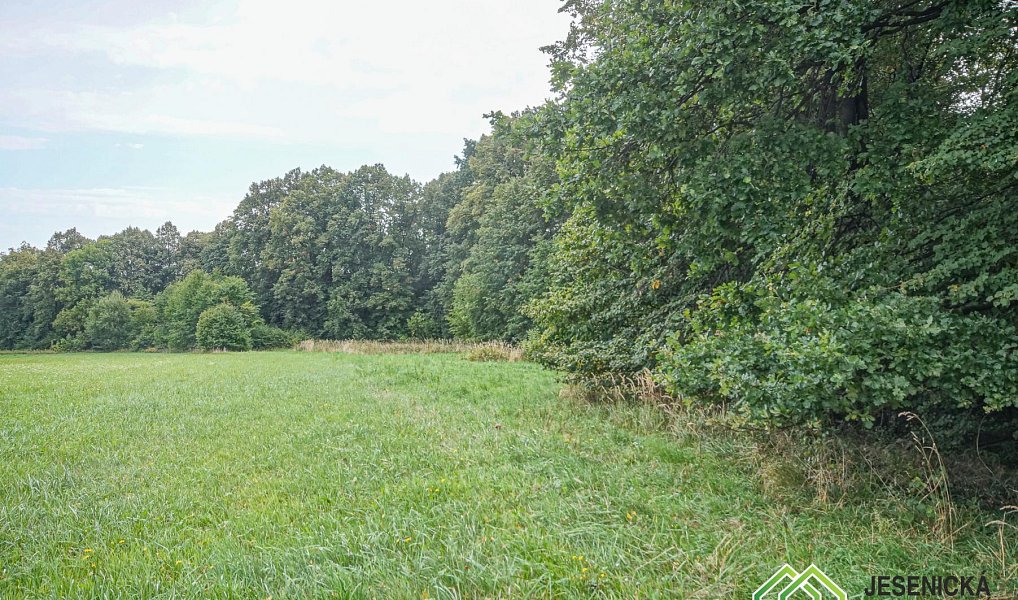 Prodej pole 16 809 m², Velké Kunětice – náhled fotky 19