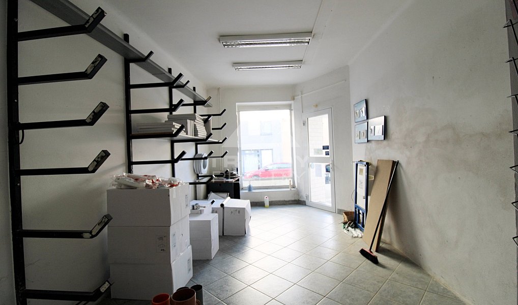 Prodej obchodních prostor 450 m², Plzeň – náhled fotky 4