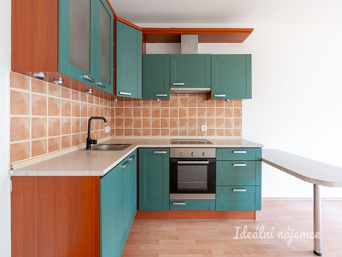 Pronájem bytu 1+kk 47 m²