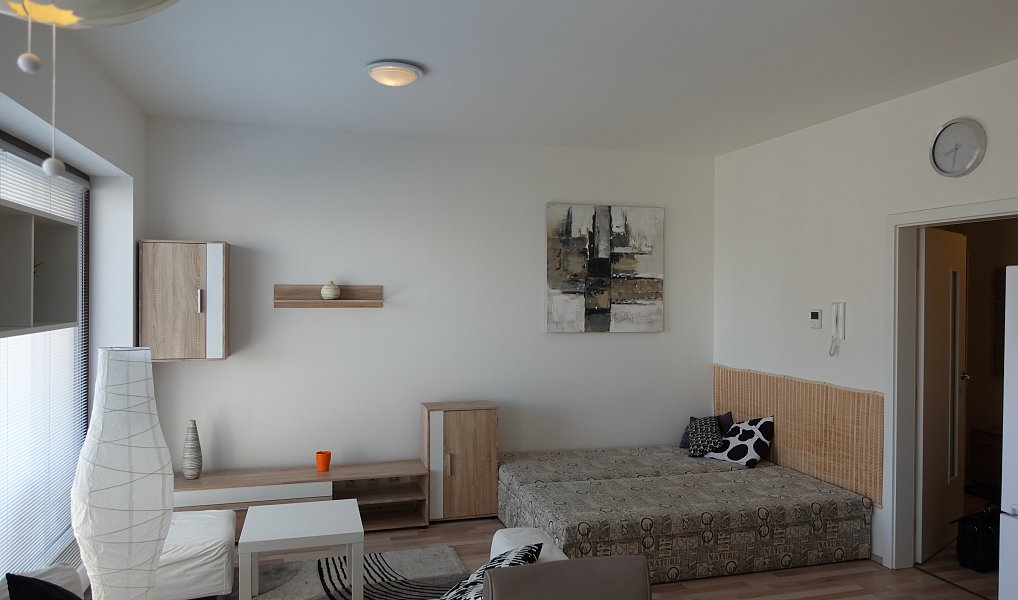 Pronájem bytu 1+kk 45 m², Brno – náhled fotky 2