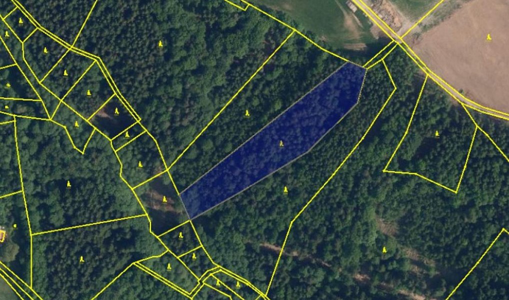 Prodej lesa 3 582 m², Líšný – náhled fotky 5