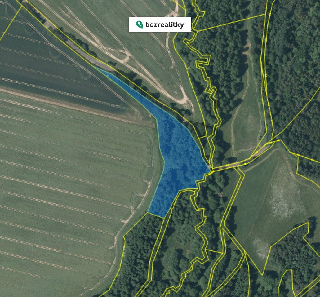 Prodej lesa 9 770 m²