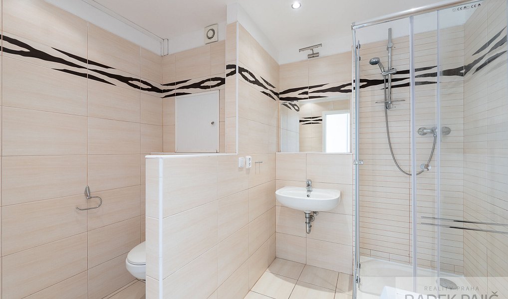 Pronájem bytu 1+1 48 m², Praha – náhled fotky 12