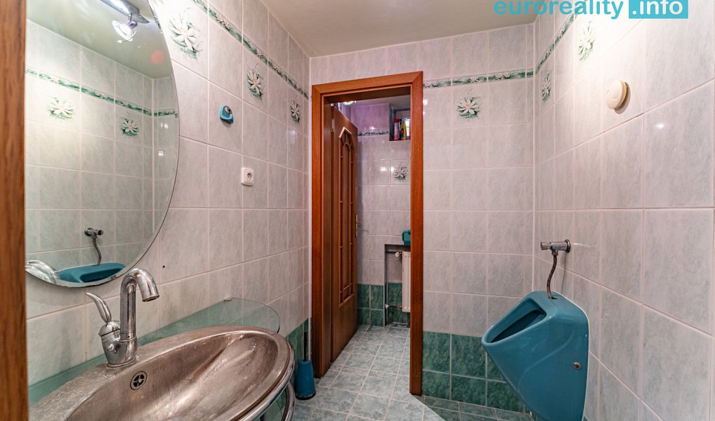 Pronájem domu 210 m² s pozemkem 1 068 m², Aš – náhled fotky 33