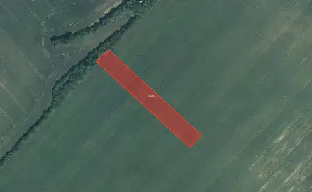 Prodej pole 2 000 m², Mutěnice, okres Hodonín