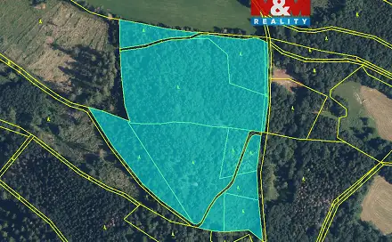 Prodej lesa 19 245 m², Bratrušov, okres Šumperk