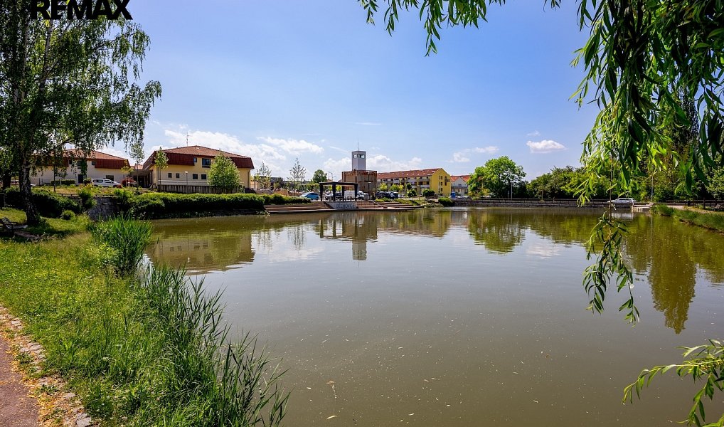 Prodej domu 210 m² s pozemkem 1 140 m², Praha – náhled fotky 33