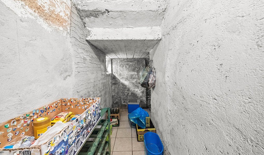 Prodej domu 176 m² s pozemkem 466 m², Plzeň – náhled fotky 29