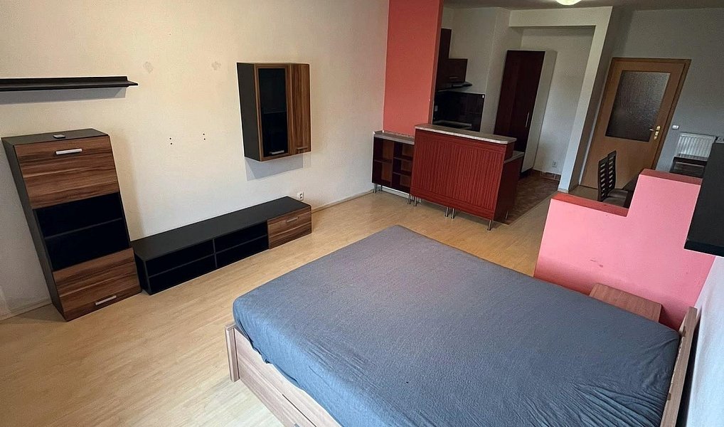 Pronájem bytu 1+kk 40 m², České Budějovice – náhled fotky 4