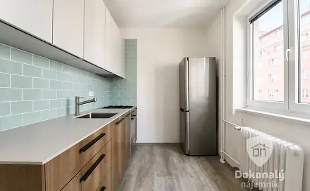 Pronájem bytu 2+1 59 m², Jeseniova, Praha 3 - Žižkov