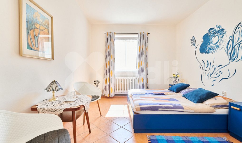 Prodej ubytovacího objektu 1 350 m², Želetava – náhled fotky 8