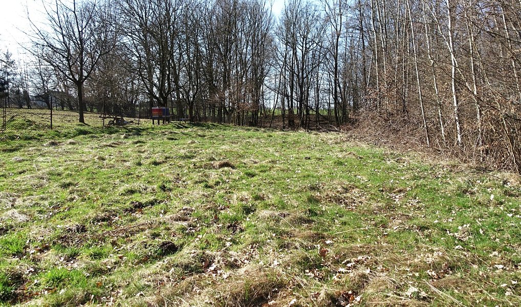 Prodej louky 6 013 m², Bohumín – náhled fotky 7