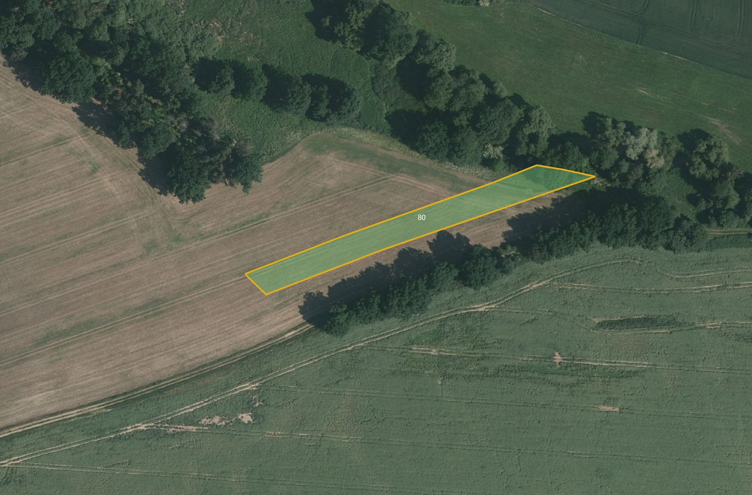 Prodej pole 13 100 m² – fotografie 3