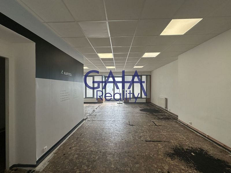 Prodej obchodních prostor 190 m² – fotografie 4