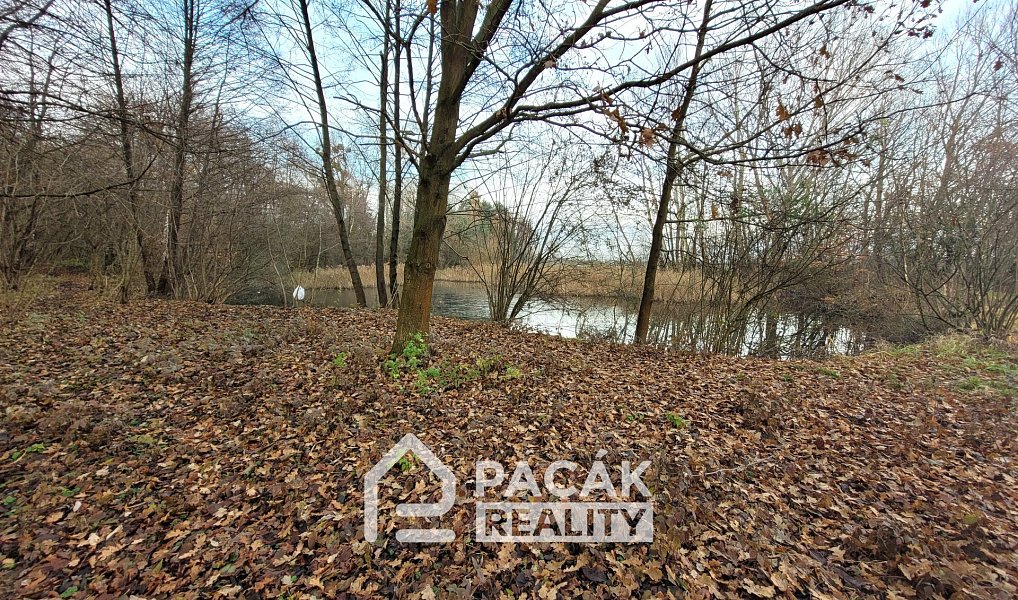 Prodej pole 15 995 m², Kožušany-Tážaly – náhled fotky 19