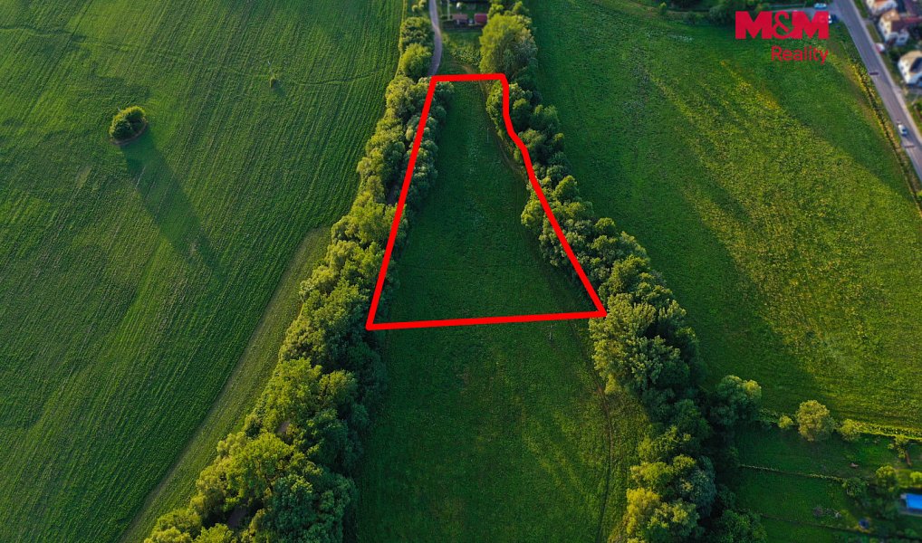 Prodej louky 4 590 m², Horní Bříza – náhled fotky 23