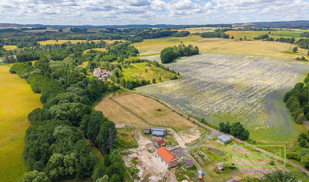 Prodej stavebního pozemku 1 126 m², Františkovy Lázně – náhled fotky 7