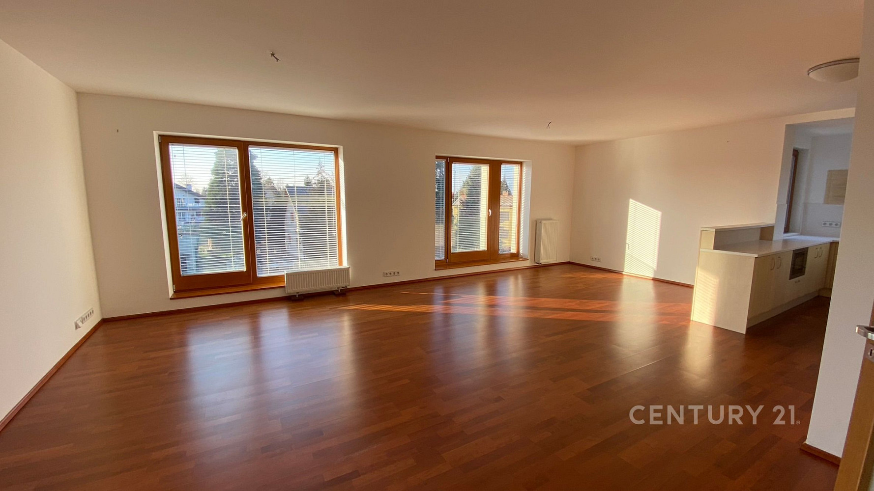 Pronájem bytu 4+kk 144 m² — photo 3