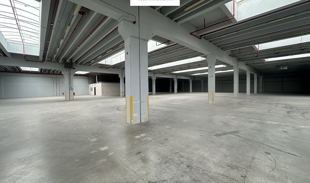 Pronájem skladovacích prostor 2 000 m², Říčany – náhled fotky 2