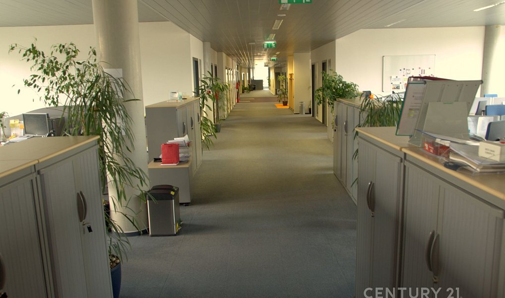 Pronájem kanceláře 239 m², Praha – náhled fotky 24