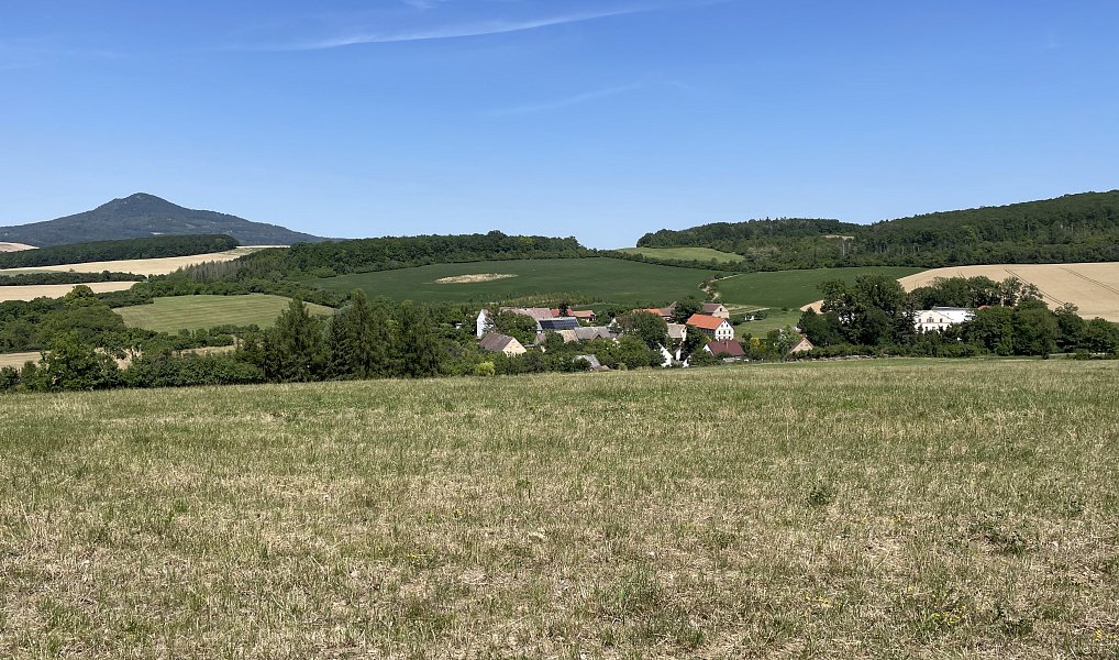 Prodej louky 9 483 m², Polepy – náhled fotky 13