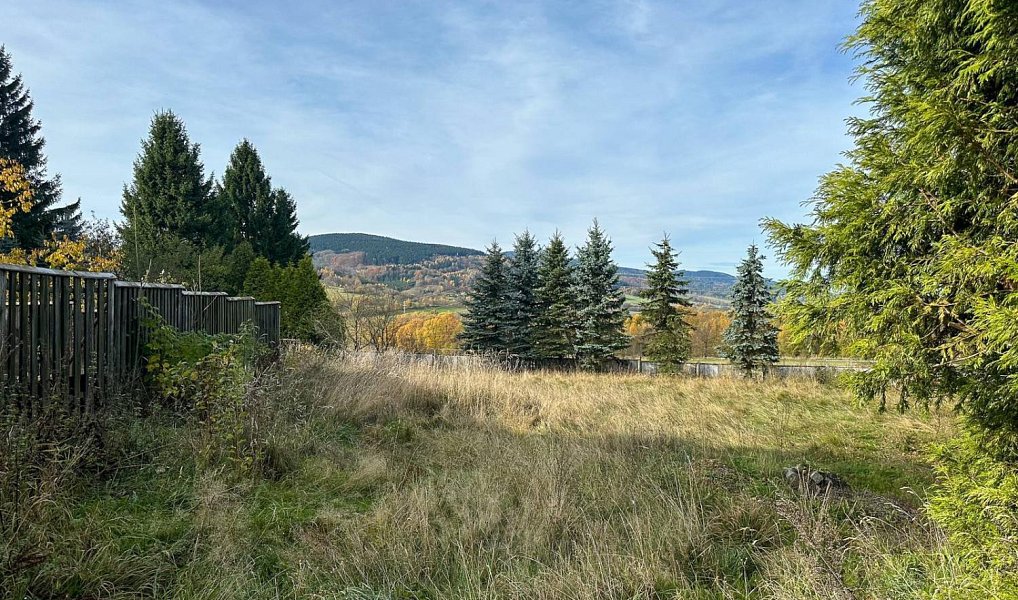 Prodej domu 300 m² s pozemkem 10 228 m², Jeřmanice – náhled fotky 17