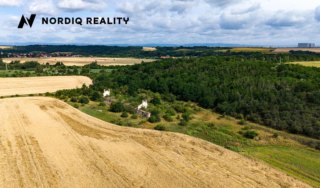 Prodej komerčního pozemku 16 786 m², Staňkovice – náhled fotky 13
