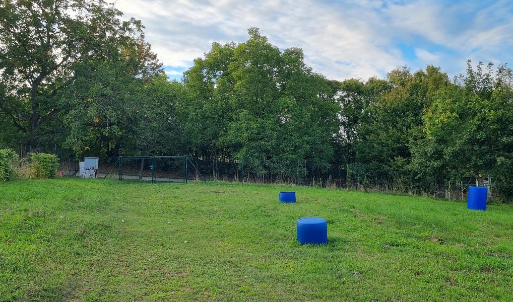 Prodej stavebního pozemku 3 197 m², Nemojany – náhled fotky 5