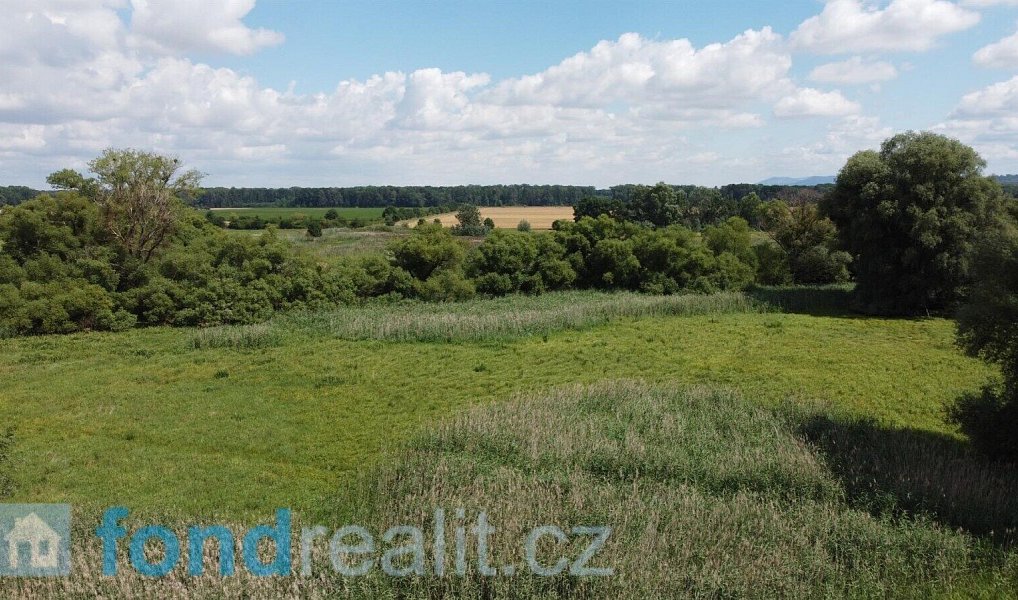 Prodej pozemku 2 388 m², Střížovice – náhled fotky 3