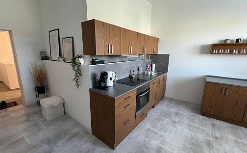 Pronájem bytu 2+kk 70 m², Panská, Ústí nad Labem - Ústí nad Labem-centrum