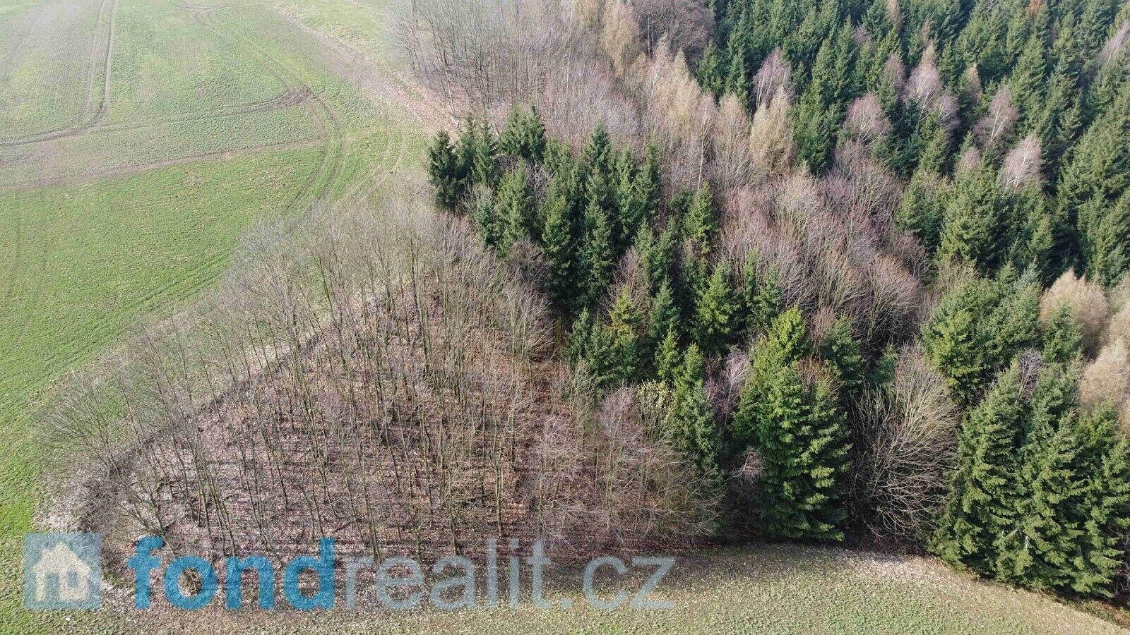 Prodej pole 7 831 m² – fotografie 3