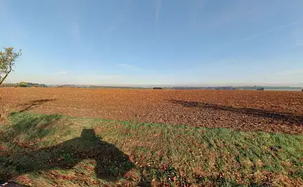 Prodej pole 3 848 m², Leština u Světlé, okres Havlíčkův Brod