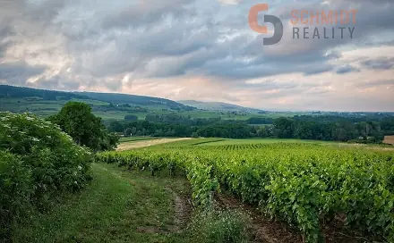 Prodej pozemku 4 733 m², Klentnice, okres Břeclav